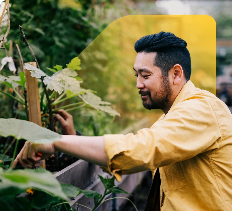 A man in a yellow shirt is caring for plants in a vibrant garden, surrounded by greenery and blooming flowers.